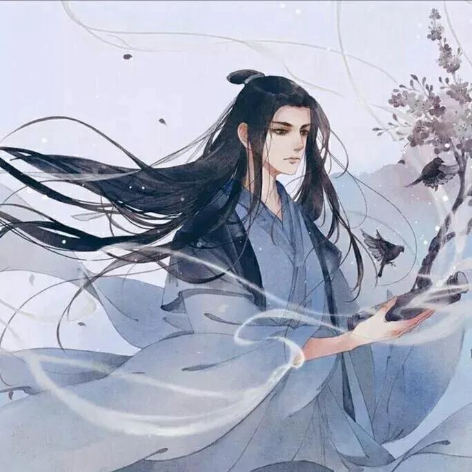 风轻最新小说深度解析与热议概览