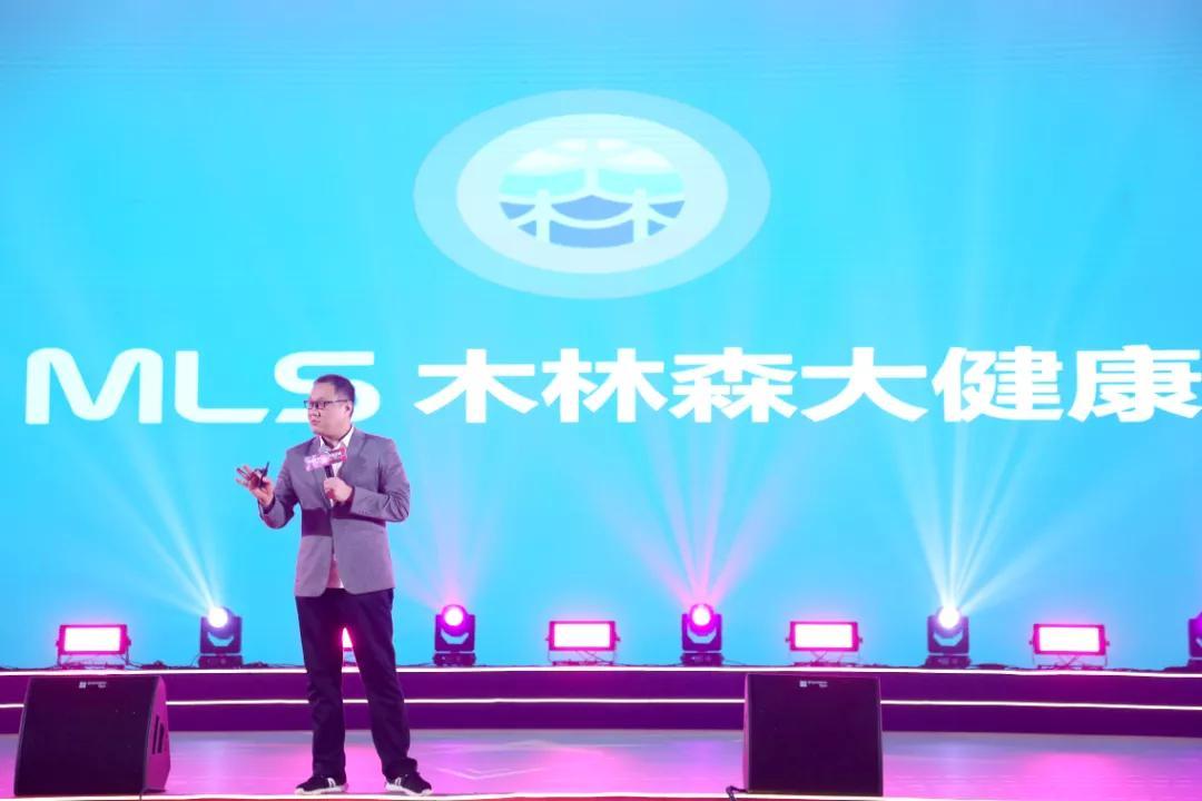 木林森股票最新动态，铸就行业坚实足迹，展现发展实力