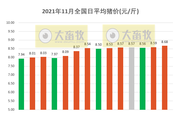福建小猪奇遇记，今日猪价背后的温馨故事与最新猪价概览
