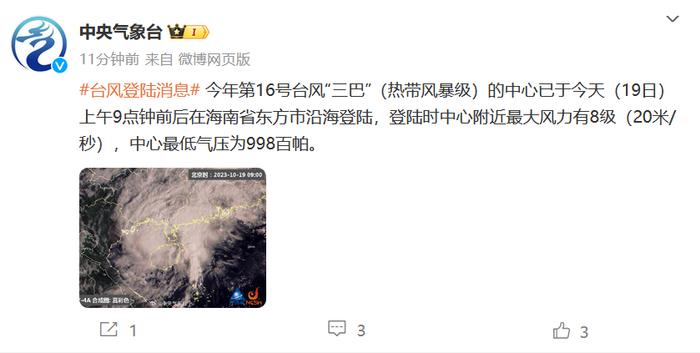 中央台风最新动态，风雨带来成长与希望