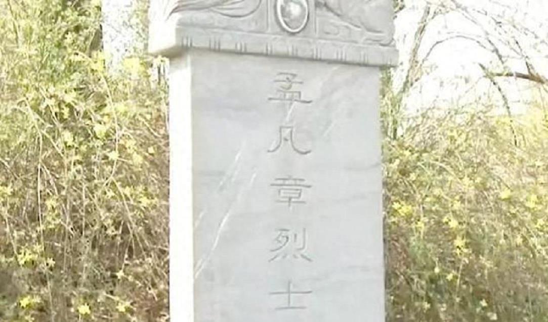 北京公交改线最新消息详解，最新调整与步骤指南